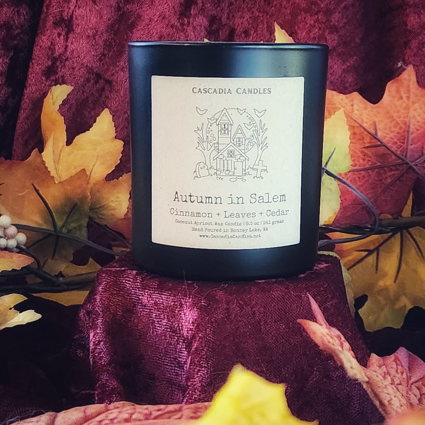 Autumn in Salem Candle | Cinnamon + Leaves + Cedar