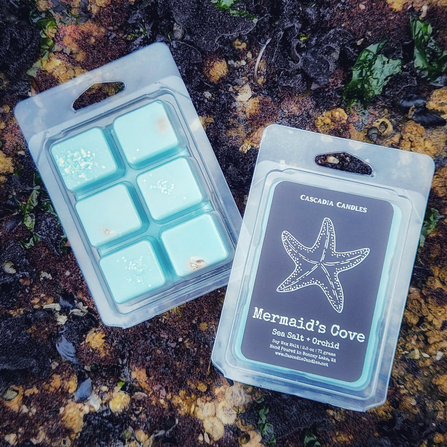 Mermaid's Cove Wax Melt