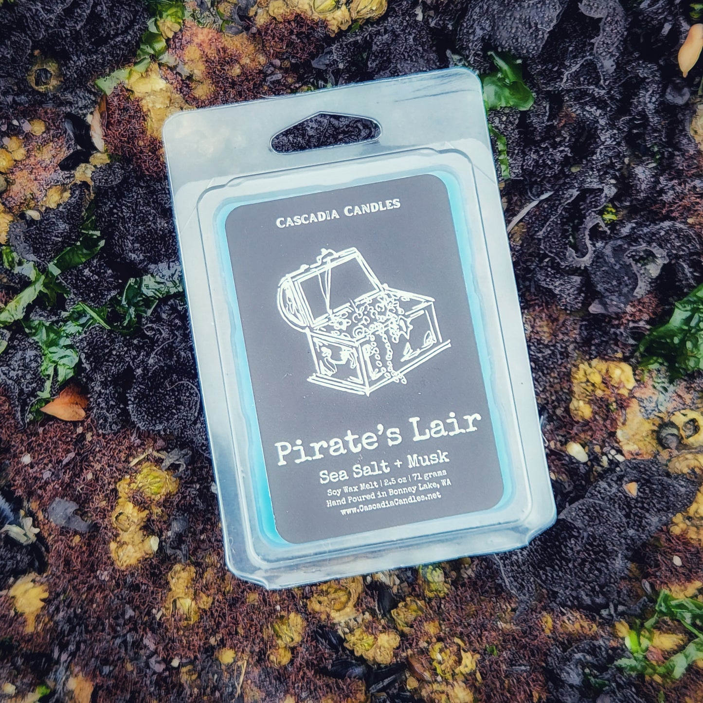 Pirate's Lair Wax Melt