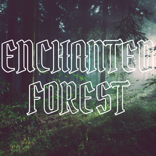 A dark forest scene with misty trees and large outlined text reading 'ENCHANTED FOREST' across the center.