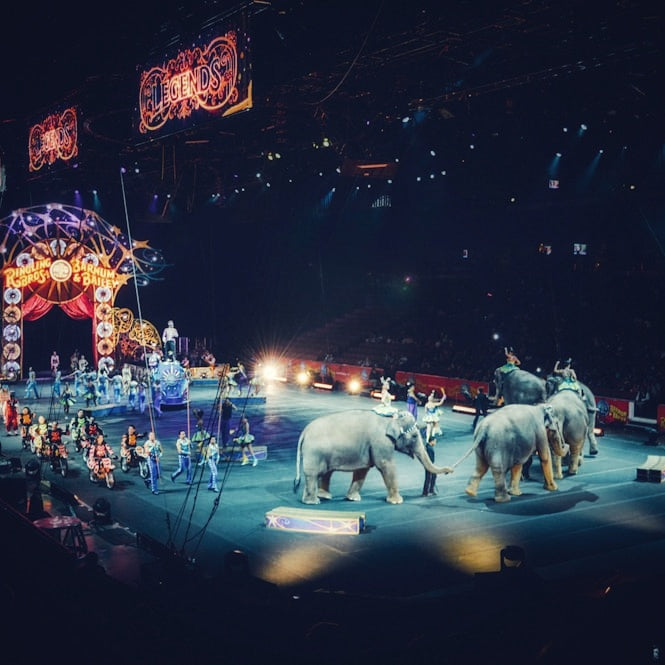 circus image