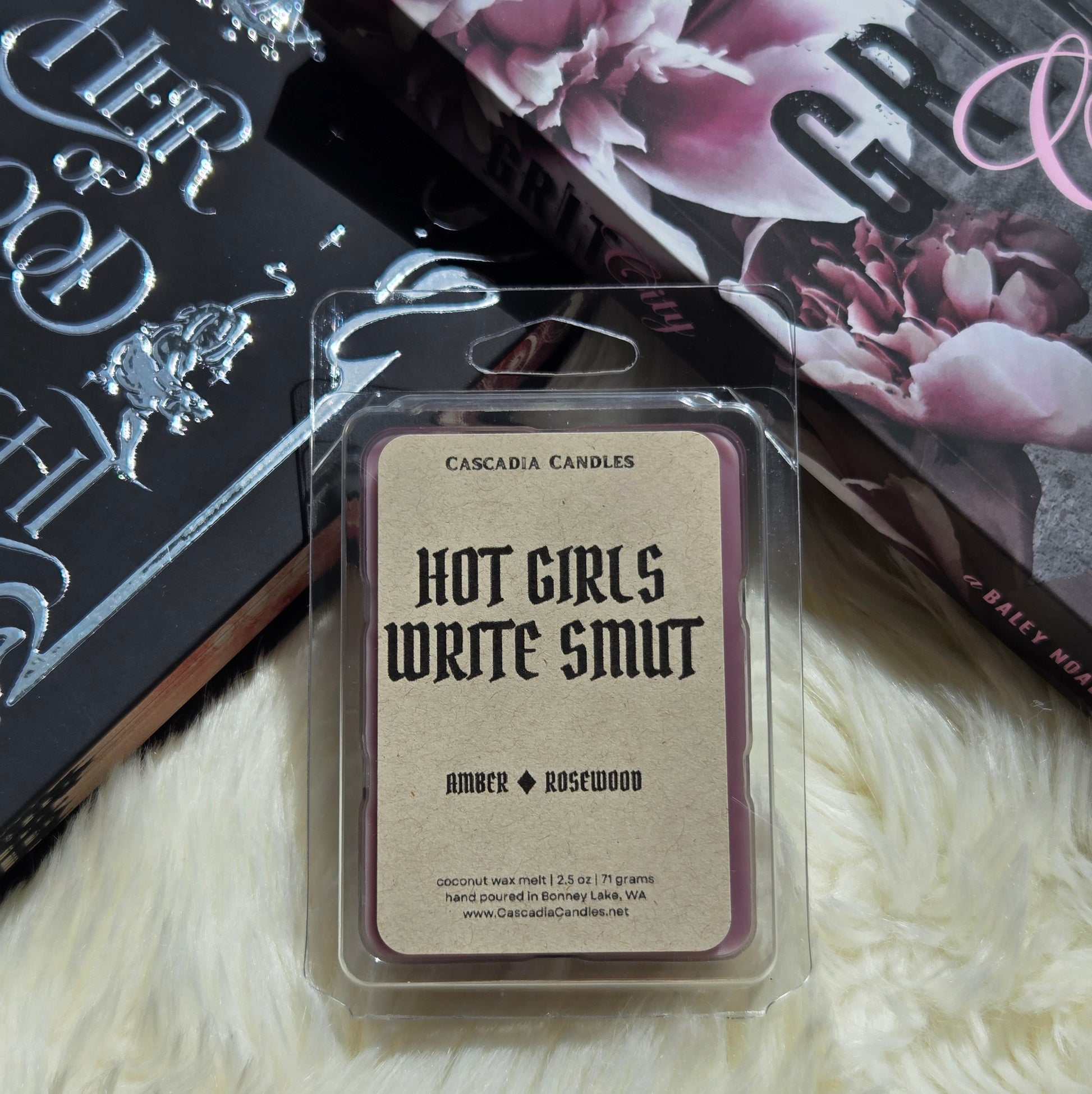 Hot Girls Write Smut clamshell propped against two romance books. 