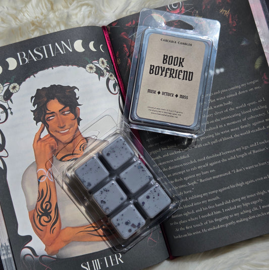 Two packaged wax melts are arranged on an open book. One package contains dark gray speckled wax cubes in a clear plastic clamshell, and the other is a clear blister pack with a Kraft label reading 'Book Boyfriend'.