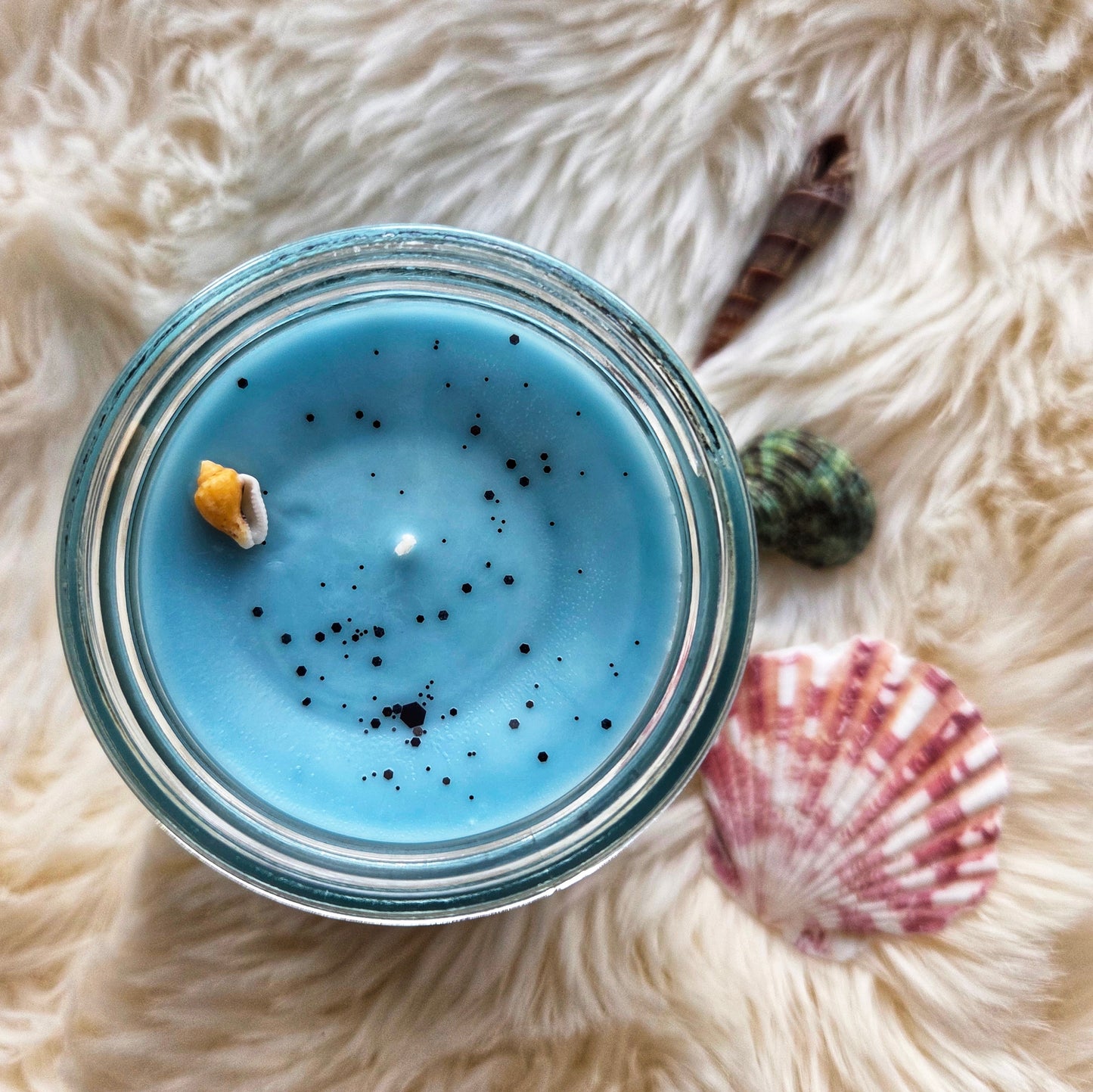 Dark Tide Coco Soy Candle | Damp Rocks + Ocean Water