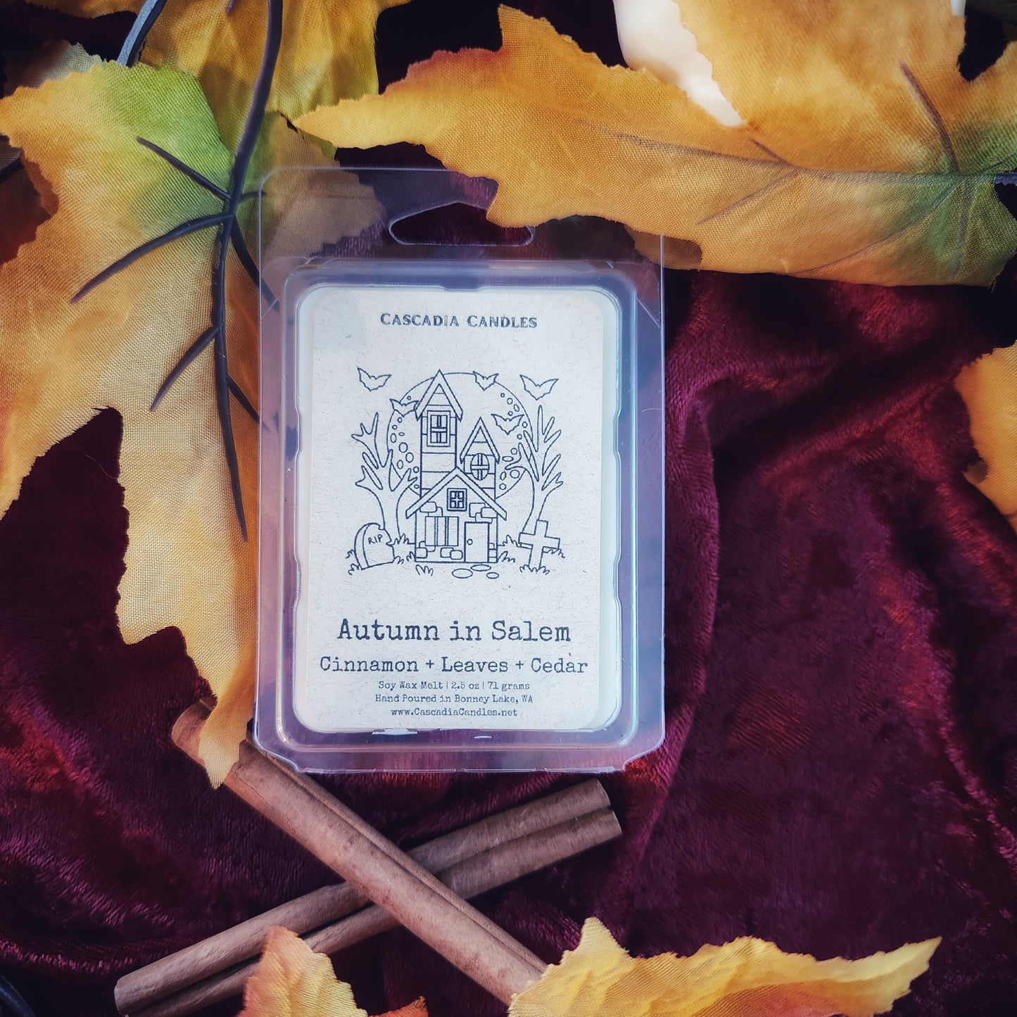 Autumn in Salem Wax Melt | Cinnamon + Leaves + Cedar